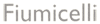 Logo di OTTICA FIUMICELLI
