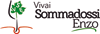 Logo di SOMMADOSSI ENZO VIVAI VITI TRENTINO
