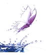Logo di VILLA GIORGIA