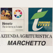 Logo di AGRITURISMO MARCHETTO
