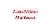 Logo di FUSTELLIFICIO MATTEUCCI