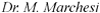 Logo di MARCHESI DR. MARIO