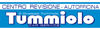Logo di CENTRO REVISIONI AUTOFFICINA TUMMIOLO CAR SERVICE