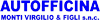 Logo di AUTOFFICINA MONTI VIRGILIO & FIGLI