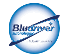 Logo di BLUDRIVER SERVICE