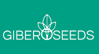 Logo di BERGAMASCHI PIETRO SAS