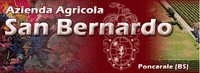 Logo di AZIENDA AGRICOLA SAN BERNARDO SAS