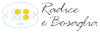 Logo di RADICE E BOSAGLIA SAS