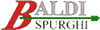 Logo di BALDI SPURGHI - SPURGO FOGNATURE