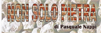 Logo di NON SOLO PIETRA