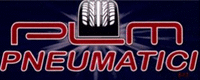Logo di PLM PNEUMATICI