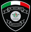 Logo di DM SECURITY