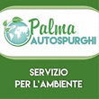 Logo di PALMA AUTOSPURGHI