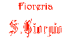 Logo di FIORERIA SAN GIORGIO