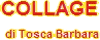 Logo di ACCONCIATURE COLLAGE