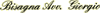 Logo di BISAGNA AVV. GIORGIO