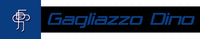 Logo di GAGLIAZZO DINO