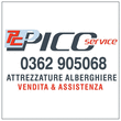 Logo di PICO SERVICE