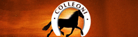 Logo di COLLEONI