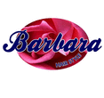 Logo di BARBARA HAIR STYLE