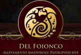 Logo di DEL FOIONCO