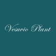 Logo di VESUVIO PLANT