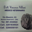 Logo di CENTRO MEDICO VETERINARIO VILLANI DR. VINCENZO