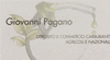 Logo di PAGANO CARBURANTI