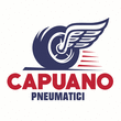 Logo di CAPUANO PNEUMATICI