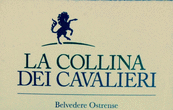 Logo di LA COLLINA DEI CAVALIERI