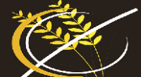 Logo di RAMOZZI ZERO GLUTINE