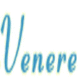 Logo di FONDERIA VENERE