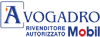 Logo di AVOGADRO