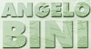 Logo di ANGELO BINI IDROPULITRICI