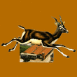 Logo di NUOVA ANTILOPE