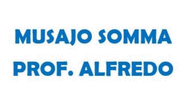 Logo di MUSAJO SOMMA PROF. ALFREDO - MUSAJO SOMMA DOTT.SSA LAURA