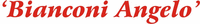 Logo di BIANCONI ANGELO