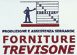 Logo di FORNITURE TREVISONE