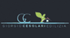 Logo di CESOLARI GIORGIO EDILIZIA