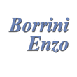 Logo di BORRINI ENZO S.N.C.