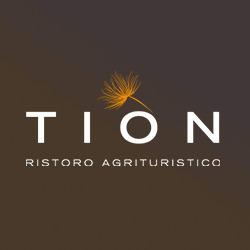 Logo di AGRITURISMO TION