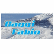 Logo di GAGGI FABIO S.R.L.