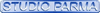 Logo di PARMA SERVICES