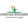 Logo di AZIENDA AGRICOLA RUGGIERO V. DI RUGGIERO RICCARDO