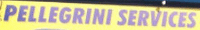 Logo di PELLEGRINI SERVICES