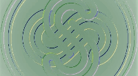Logo di STACCHINI SERGIO E C. SAS