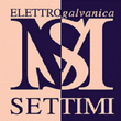 Logo di ELETTROGALVANICA SETTIMI