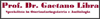 Logo di LIBRA PROF. DR. GAETANO
