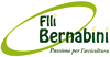 Logo di FRATELLI BERNABINI