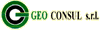 Logo di GEO CONSUL